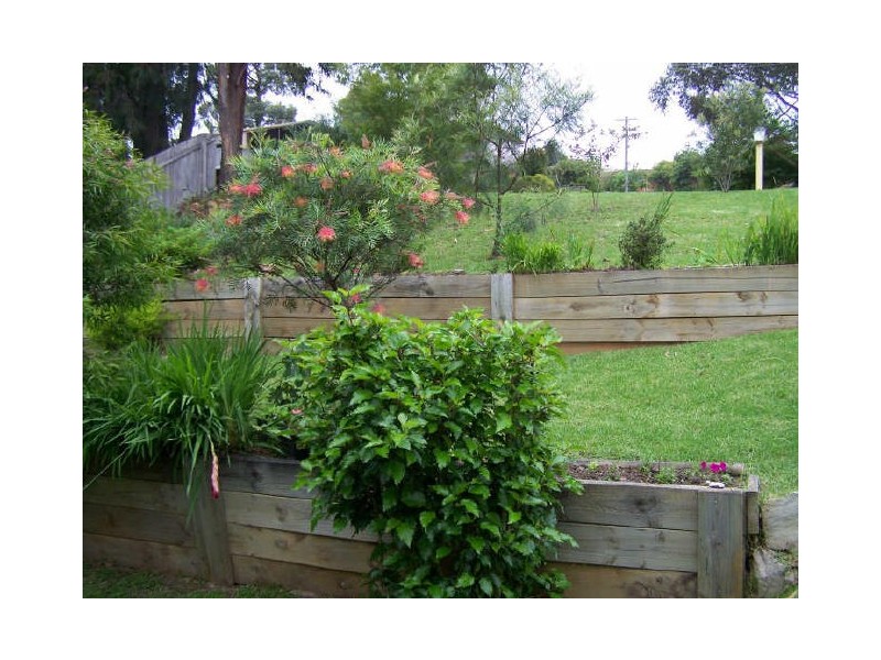 41 Ocean Avenue, Surf Beach NSW 2536