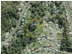 Lot 3 Berrima Street, Batemans Bay NSW 2536