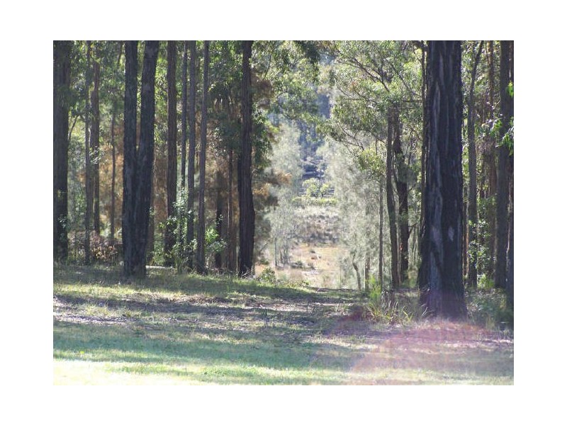 112 Goldfields Drive, Jeremadra NSW 2536