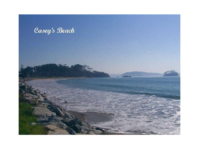 65 Grantham Road, Batehaven NSW 2536