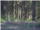 Lot 8 Margaret Drive, Bimbimbie NSW 2536