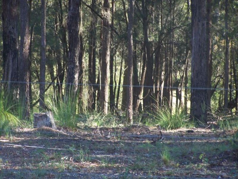 Lot 8 Margaret Drive, Bimbimbie NSW 2536