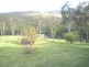 82B McCARDYS CREEK ROAD, Nelligen NSW 2536