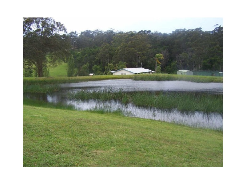 31 McBride Close, Malua Bay NSW 2536