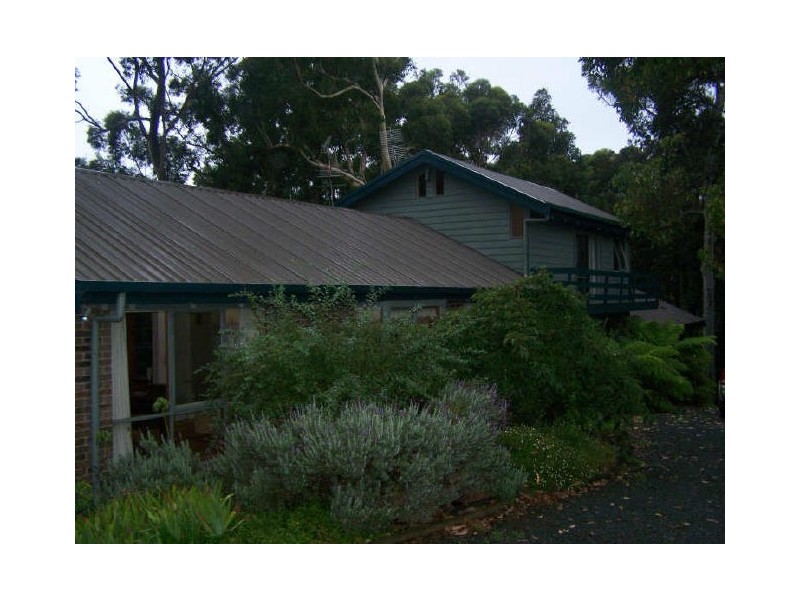 21 Barrani Place, Lilli Pilli NSW 2536