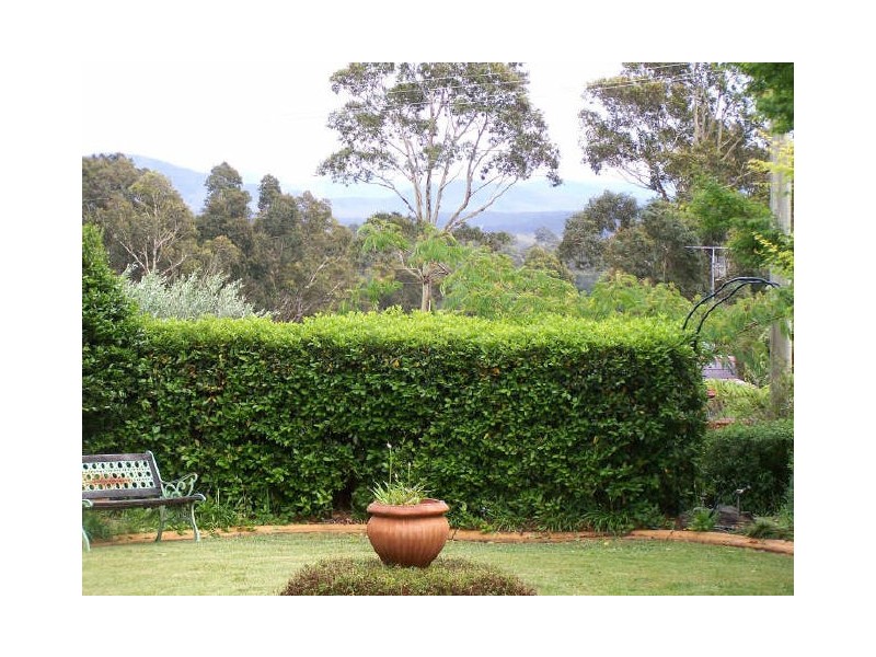 81 Ridge Street, Catalina NSW 2536