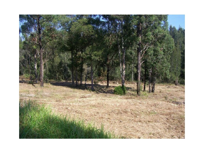 7b Palana Street, Surfside NSW 2536