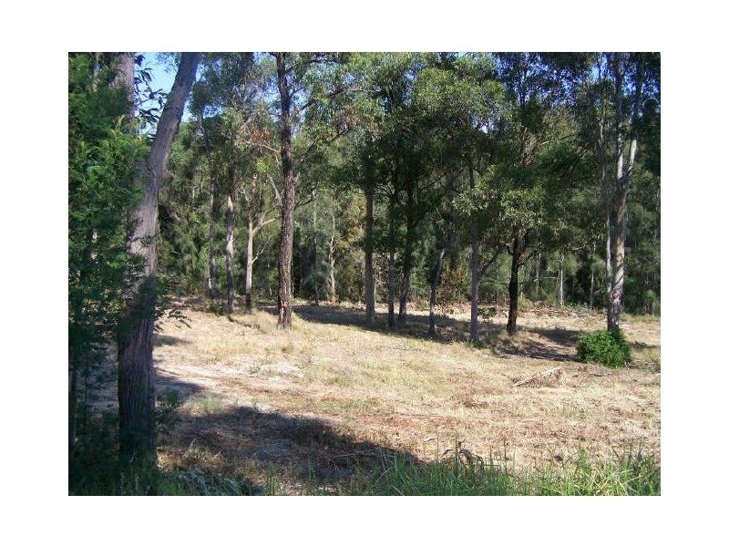 7b Palana Street, Surfside NSW 2536