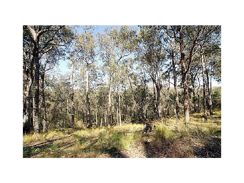 Lot 120 Clyde View Drive, Long Beach NSW 2536