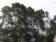 3 “Sirocco”/5 Crag Road, Batehaven NSW 2536