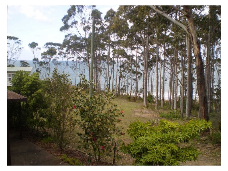 17 Fauna Ave, Long Beach NSW 2536