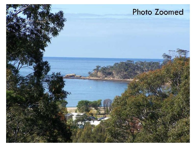 10 Sanctuary Place, Catalina NSW 2536