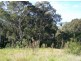 10 Sanctuary Place, Catalina NSW 2536