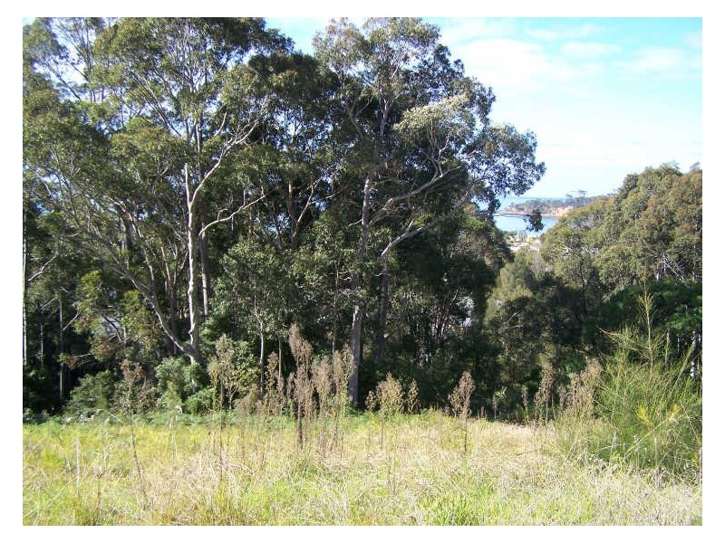 10 Sanctuary Place, Catalina NSW 2536