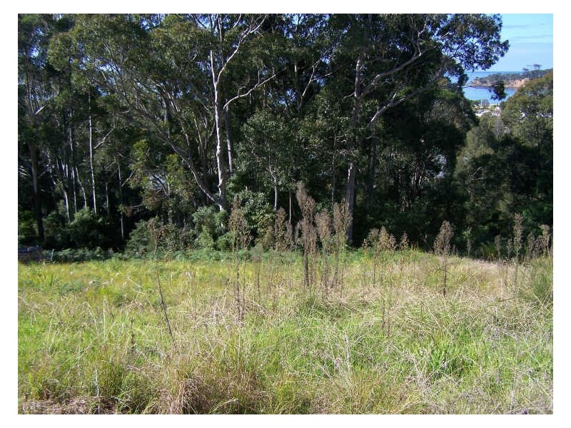 10 Sanctuary Place, Catalina NSW 2536