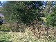 Lot 174 Henry Place, Long Beach NSW 2536