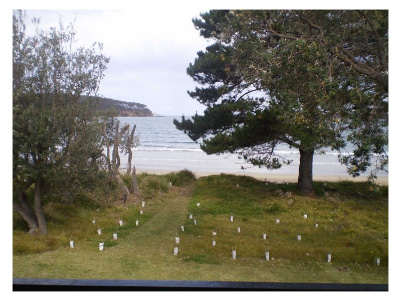 18 Myamba Parade, Surfside NSW 2536