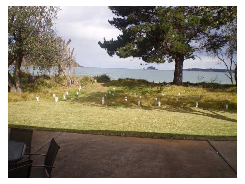 18 Myamba Parade, Surfside NSW 2536