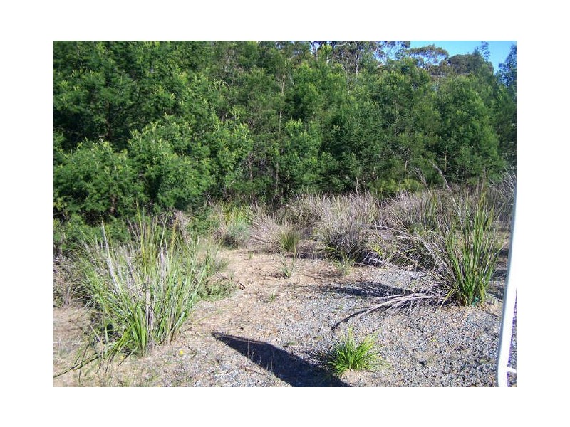 103 Courtenay Crescent, Long Beach NSW 2536