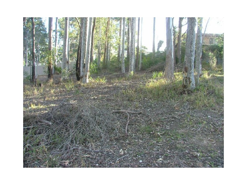 Lot 225 Oakwood Way, Catalina NSW 2536