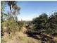 10 Litchfield Crescent, Long Beach NSW 2536
