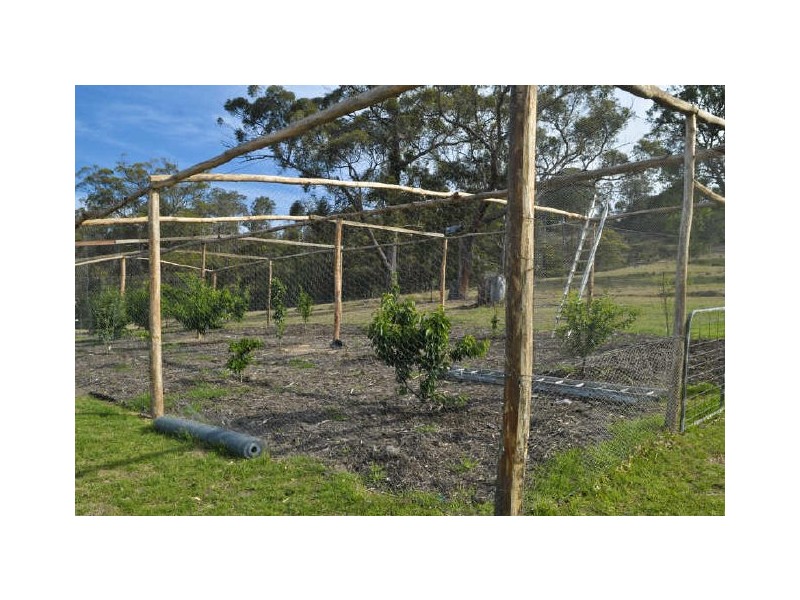 “Willawong”/273 Nelligen Creek Road, Nelligen NSW 2536