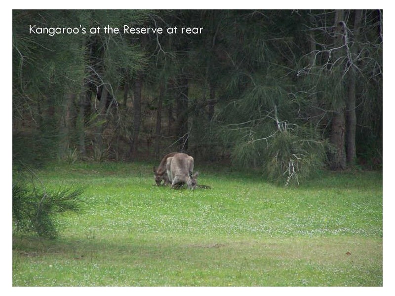 37/381 Racecourse Beach Caravan Park, Bawley Point NSW 2539