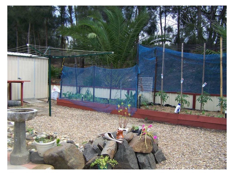 37/381 Racecourse Beach Caravan Park, Bawley Point NSW 2539