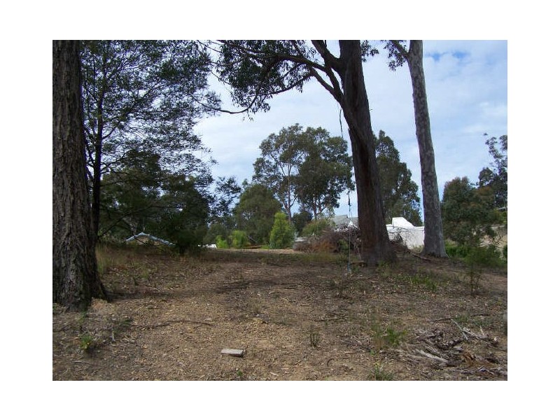 19 Carramar Drive, Lilli Pilli NSW 2536