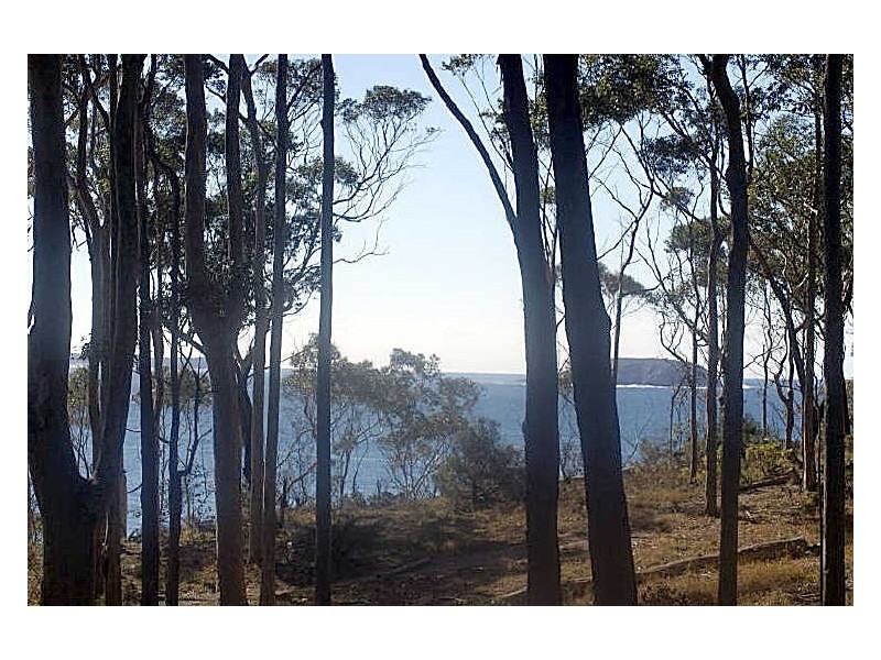 16 Lilli Pilli Road, Lilli Pilli NSW 2536