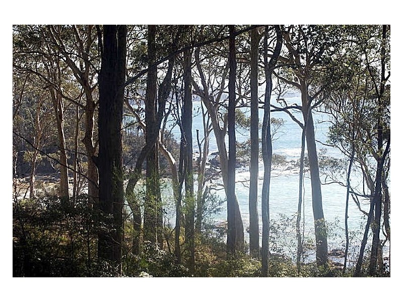 16 Lilli Pilli Road, Lilli Pilli NSW 2536