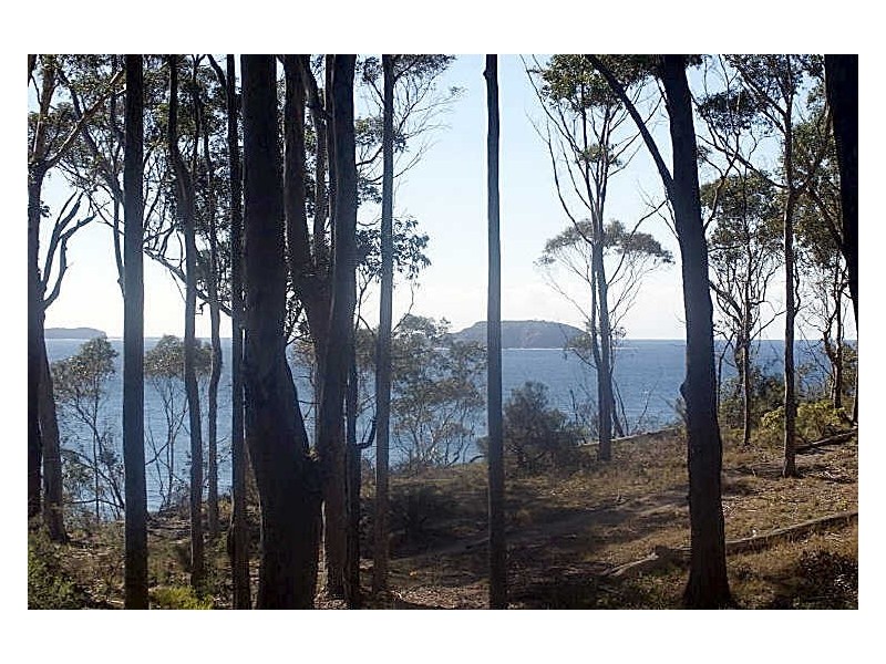 16 Lilli Pilli Road, Lilli Pilli NSW 2536