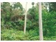 7 Penguin Place, Catalina NSW 2536