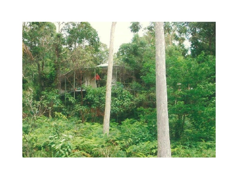 7 Penguin Place, Catalina NSW 2536