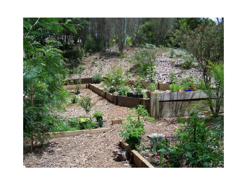 7 Penguin Place, Catalina NSW 2536