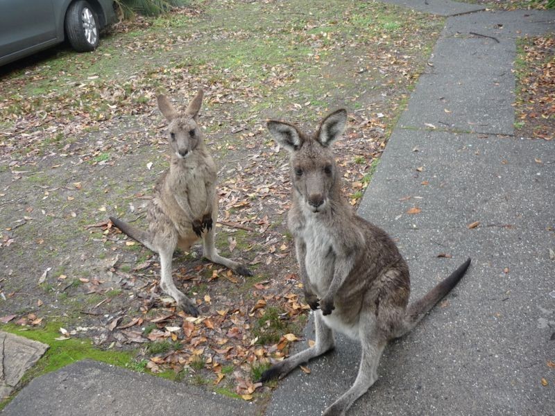 26 Depot Beach Road, Durras North NSW 2536