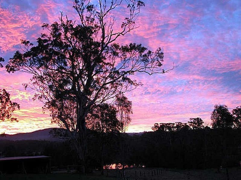 58 Egans Road, Runnyford NSW 2536