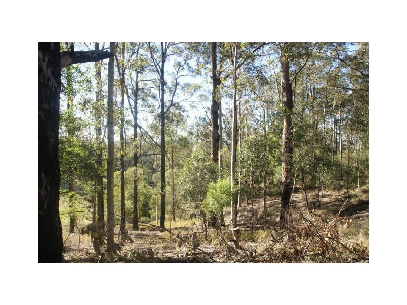 Lot 3 The Ridge Road, Surf Beach NSW 2536