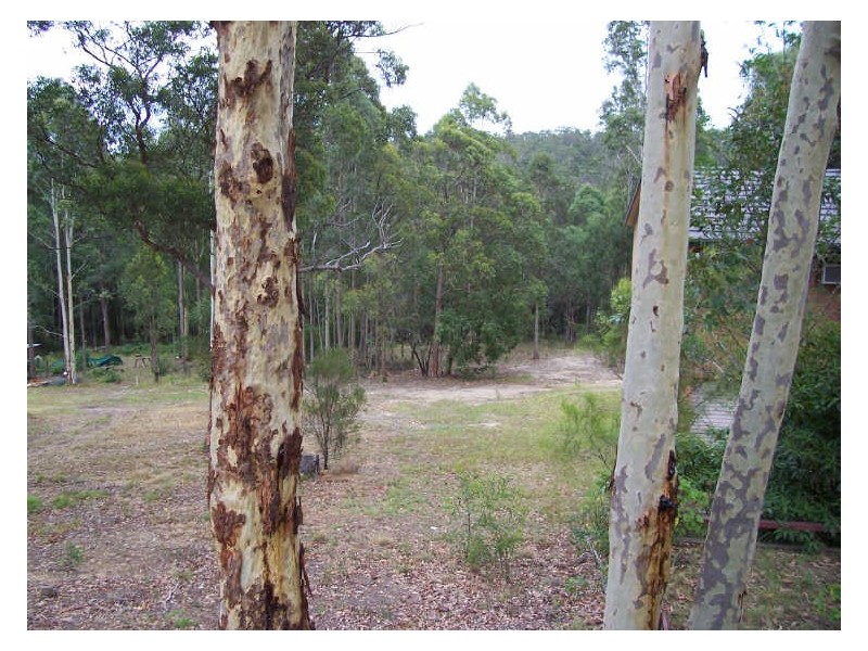 25 Palana Street, Surfside NSW 2536