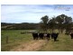 347 Nerrigundah Mountain Road-Stockyard Farm, Bodalla NSW 2545