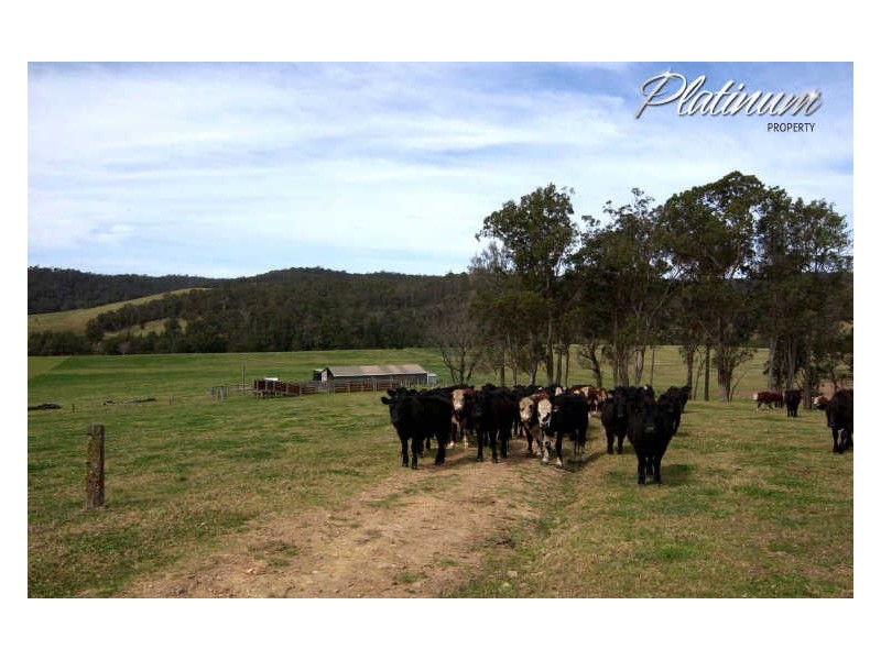 347 Nerrigundah Mountain Road-Stockyard Farm, Bodalla NSW 2545