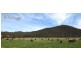 347 Nerrigundah Mountain Road-Stockyard Farm, Bodalla NSW 2545