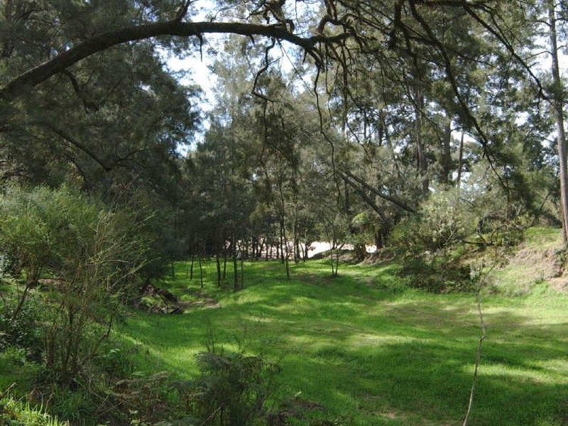 347 Nerrigundah Mountain Road-Stockyard Farm, Bodalla NSW 2545