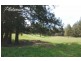 347 Nerrigundah Mountain Road-Stockyard Farm, Bodalla NSW 2545