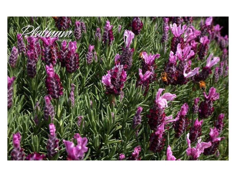 347 Nerrigundah Mountain Road-Stockyard Farm, Bodalla NSW 2545