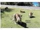 26 Depot Beach Road, Durras North NSW 2536