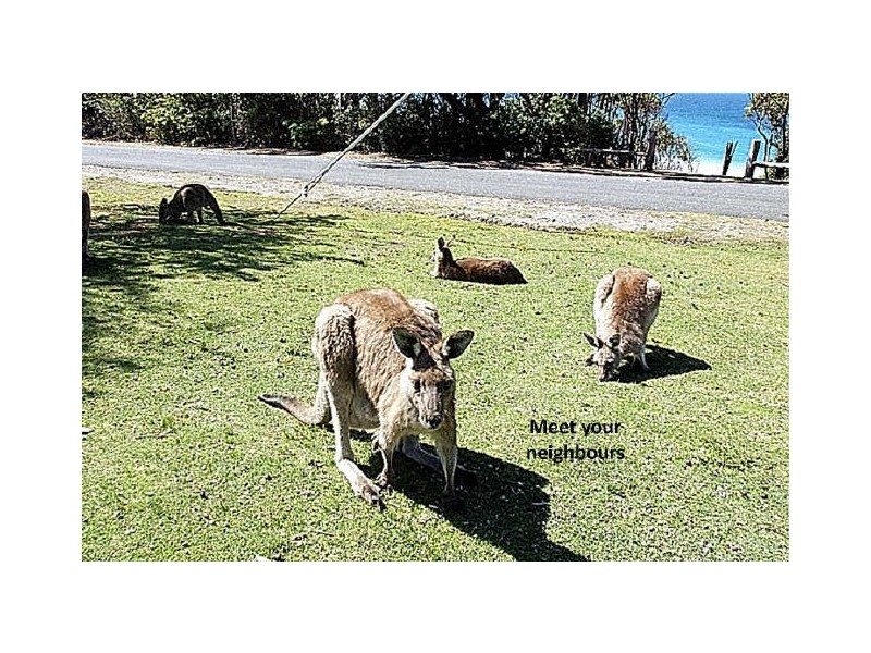 26 Depot Beach Road, Durras North NSW 2536
