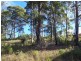 16 Oakwood Way, Catalina NSW 2536