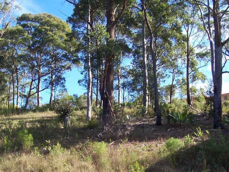 16 Oakwood Way, Catalina NSW 2536