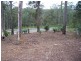 16 Oakwood Way, Catalina NSW 2536